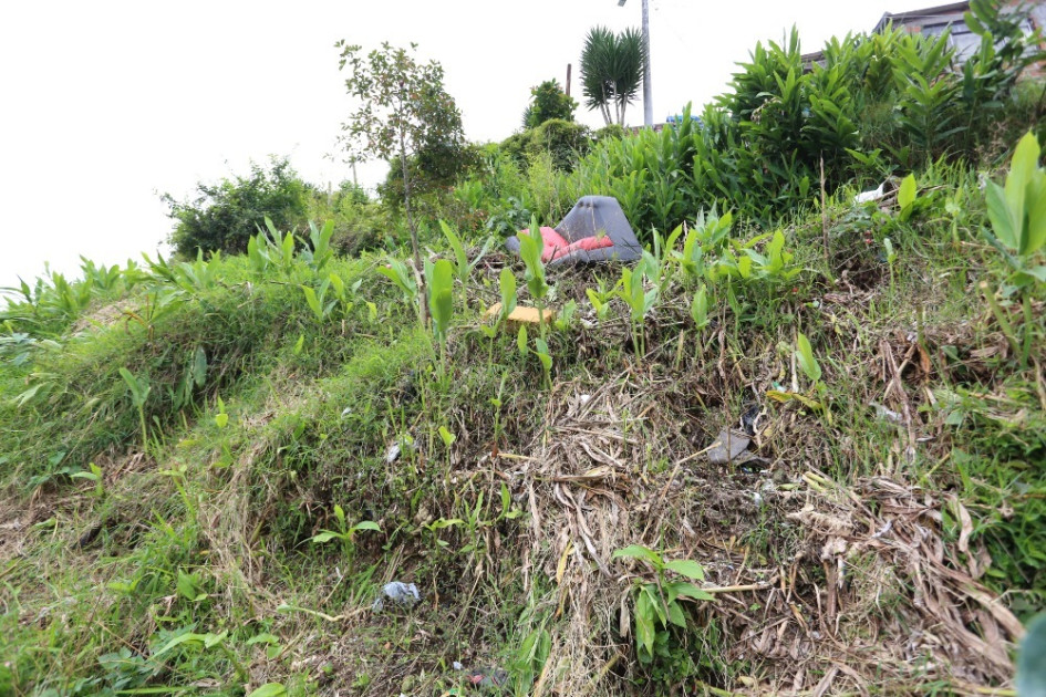 Piden limpieza de ladera en Comuneros