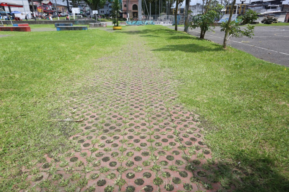 La maleza invadió el Parque Liborio