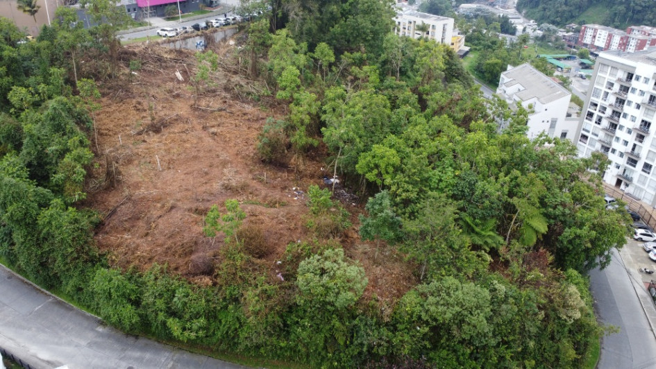 Habitantes de calle invaden reserva Camino de la Palma