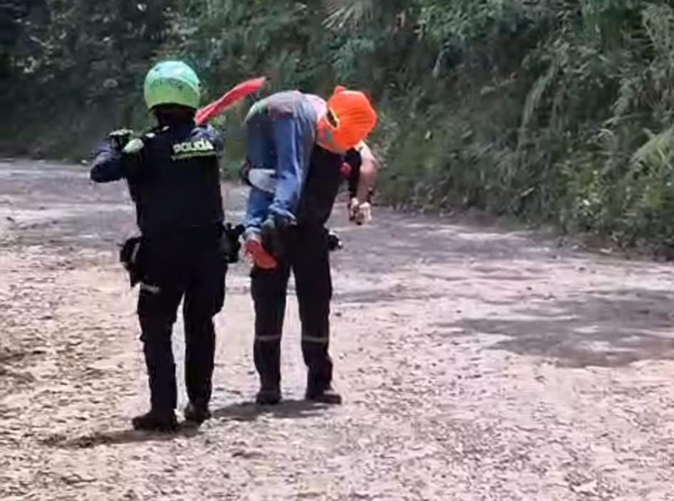 El afectado, de 80 años, sufrió unas 500 picaduras de abejorro, según informaron los socorristas.