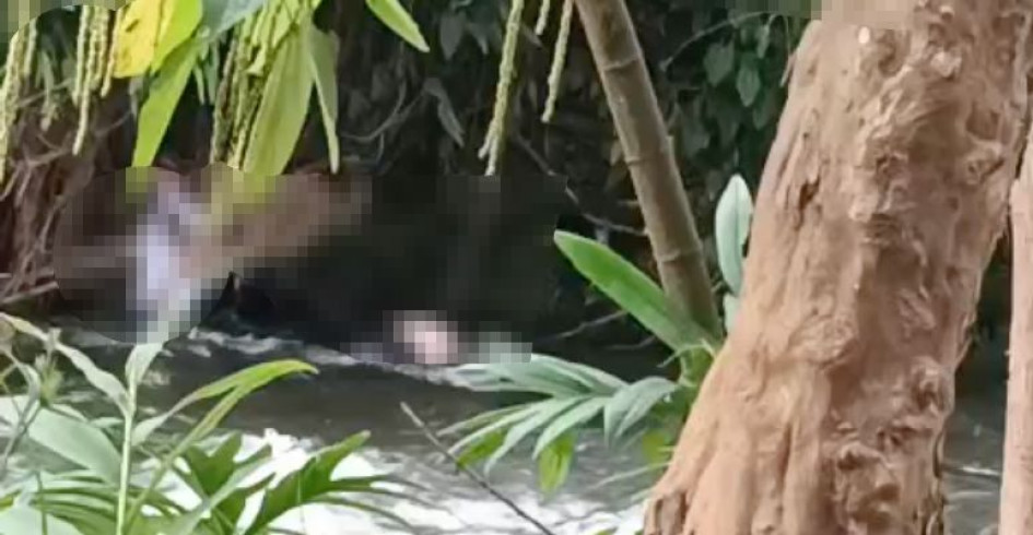 En el río Otún de Pereira encontraron cuerpo sin vida de una persona en la tarde del domingo 1 de marzo 