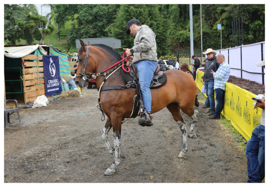 Algunos jinetes entrenaban este miércoles (18 de marzo) con sus caballos para prepararse para la competencia.