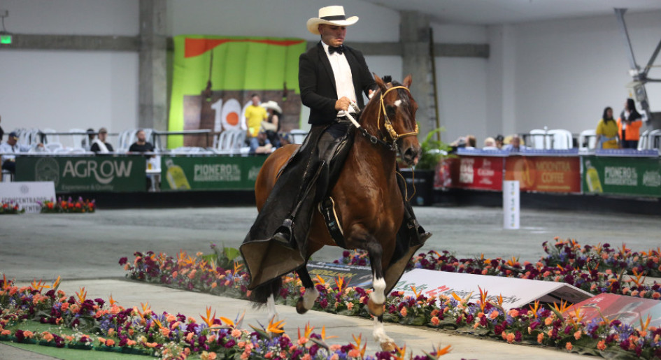 En el país solo existen tres ferias equinas doble A y se realizan en Cali, Medellín y en Manizales.
