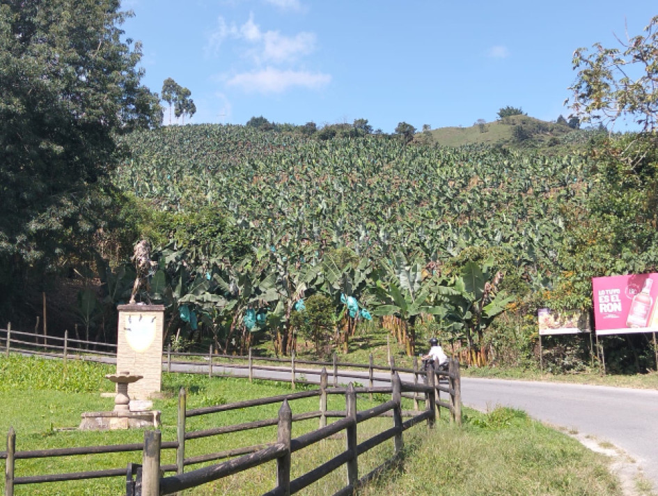 Foto I LA PATRIA  En un paraje del norte de Caldas hallaron, en la mañana de este domingo 15 de marzo del 21026, el cuerpo sin vida de un hombre.