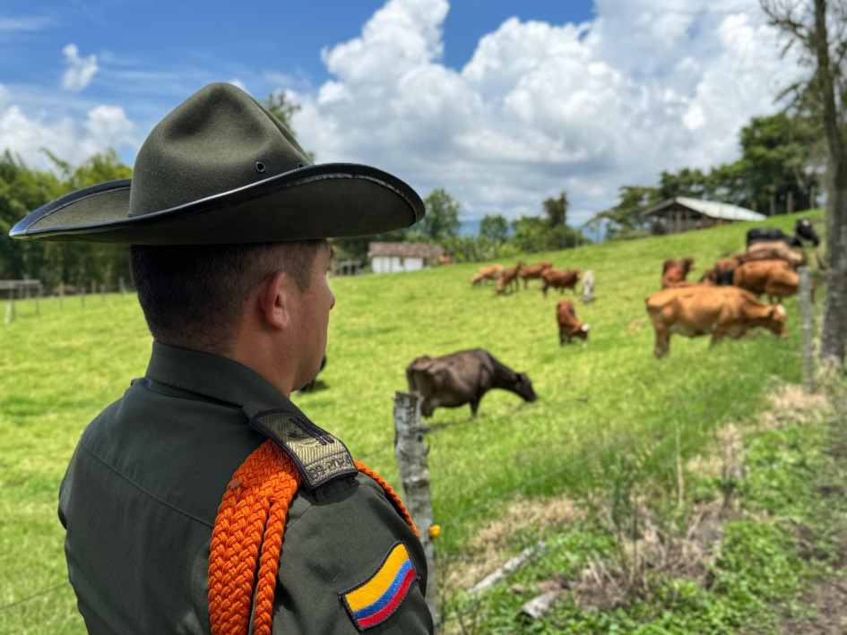 Fotos| Policía| LA PATRIA  Gracias a la oportuna reacción y al trabajo articulado, uniformados de la Seccional de Carabineros y Protección Ambiental lograron ubicar y recuperar el ganado, puesto a disposición de las autoridades para su posterior entrega a sus legítimos propietarios.