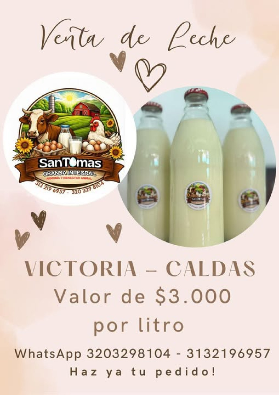 Leche en turismo Foto | Tomada de Facebook Alcaldía de Victoria | LA PATRIA