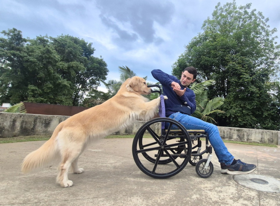 Mandarina, una golden retriever en formación, empuja una silla de ruedas bajo las indicaciones de Juan Sebastián Montoya, entrenador canino, quien lidera un proyecto para formar perros de asistencia que mejoren la calidad de vida de personas en condición de discapacidad.