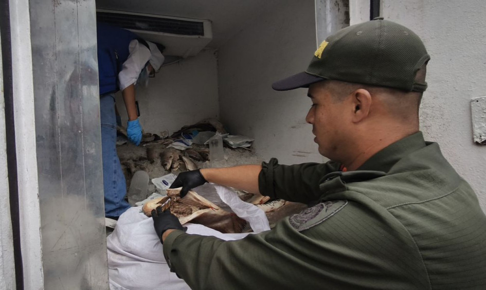 La Policía Metropolitana y la Secretaría de Salud adelantaron operativos de control, prevención y vigilancia en Manizales y Villamaría e incautaron 939 kilos de pescado en malas condiciones.