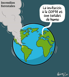 Caricatura 24 de septiembre del 2024