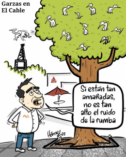 Caricatura 22 de enero del 2025: Garzas en sector de El Cable en Manizales 