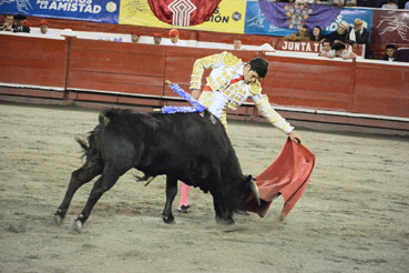 Foto|Freddy Arango|LA PATRIA Hoy concluye en Manizales Toros y Ciudad con una novillada con picadores a partir de las 3:00 de la tarde. Este evento marca el inicio de la temporada taurina en Colombia para novilleros de todo el país. Se premiará al mejor con un cupo para participar en la temporada de enero, durante la Feria de Manizales.