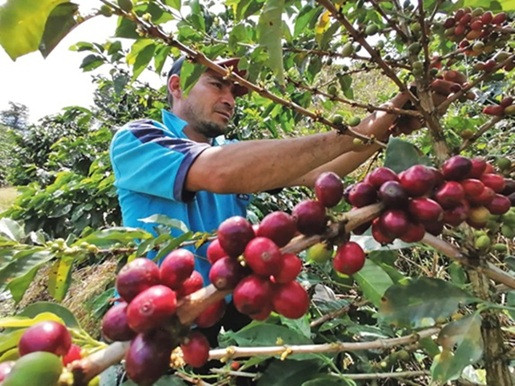 Foto | Archivo | LA PATRIA