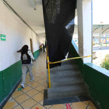 La presencia de palomas en colegio causaron problemas de salubridad y de infraestructura.