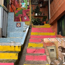 Pacto de cumplimiento por filtración en casas de Arauca.