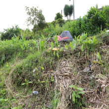 Piden limpieza de ladera en Comuneros
