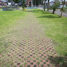 La maleza invadió el Parque Liborio