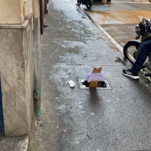 Por la carrera 21 del Centro de Manizales solicitaron durante varios días la instalación de la cubierta de una alcantarilla, debido al riesgo que representaba para los peatones.